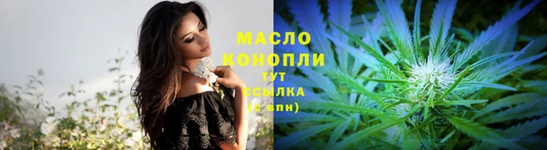 прущий лед Бородино