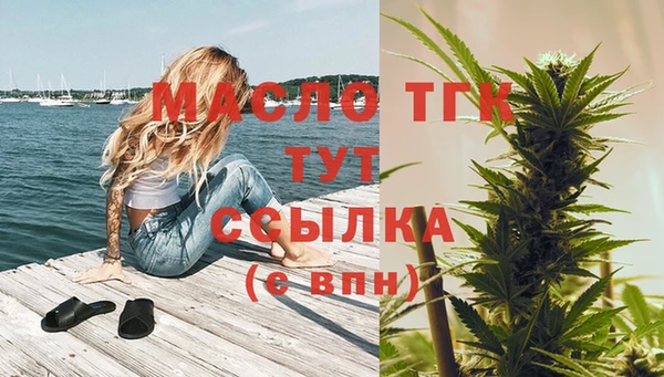 прущий лед Бородино