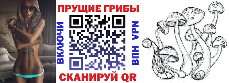 Галлюциногенные грибы мицелий  хочу наркоту  Гуково 